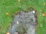 image of grave number 711132